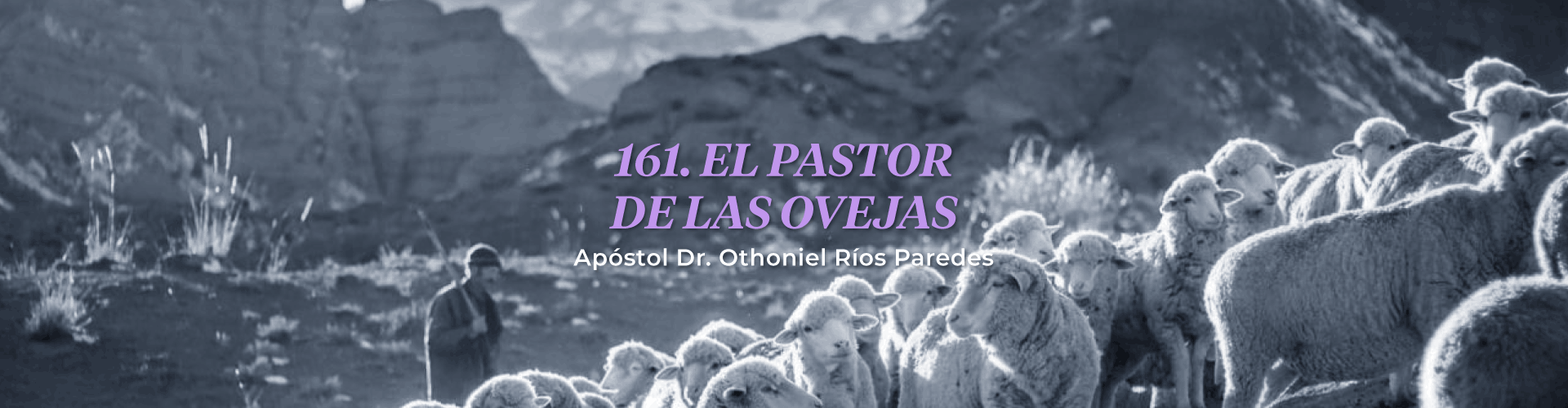 El Pastor De Las Ovejas