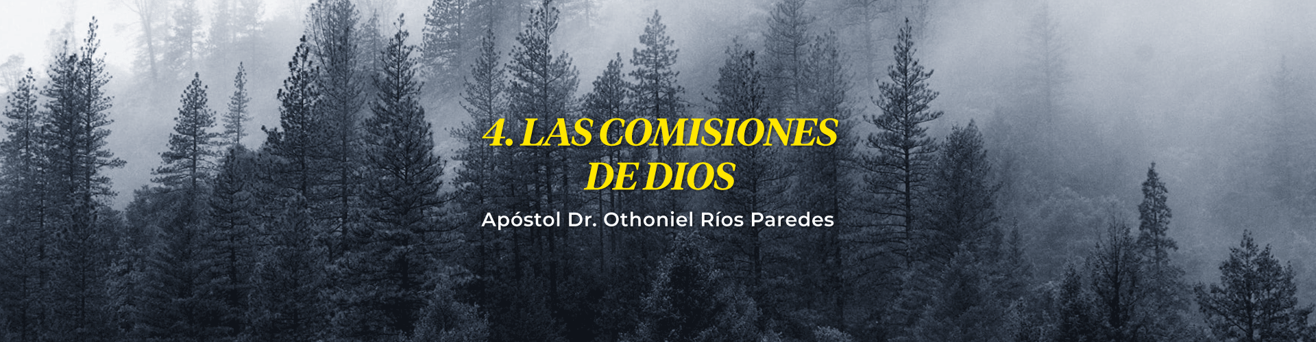 Las Creaciones De Dios