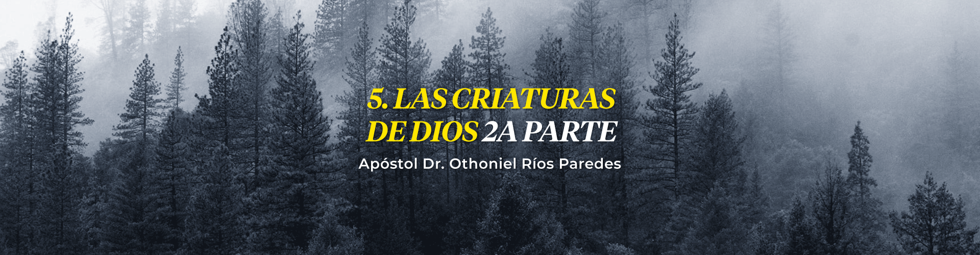 Las Criaturas De Dios, 2a Parte