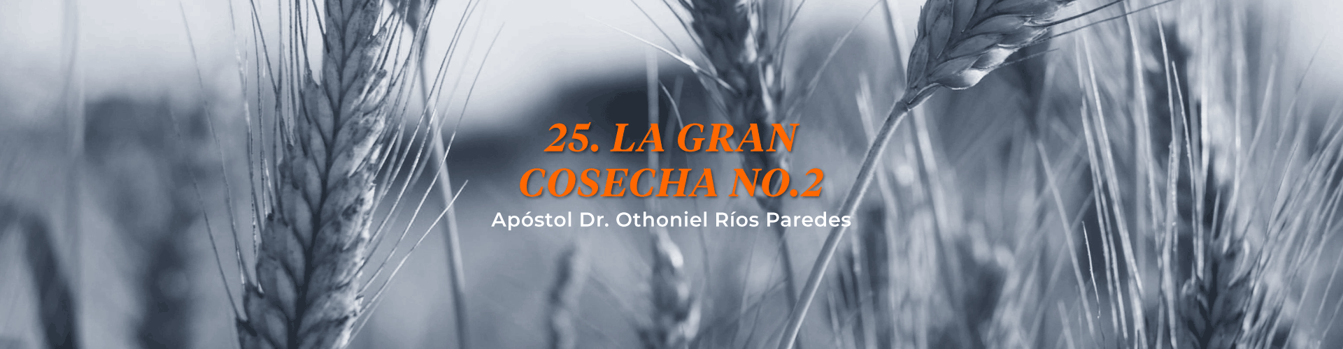 La Gran Cosecha, No.2