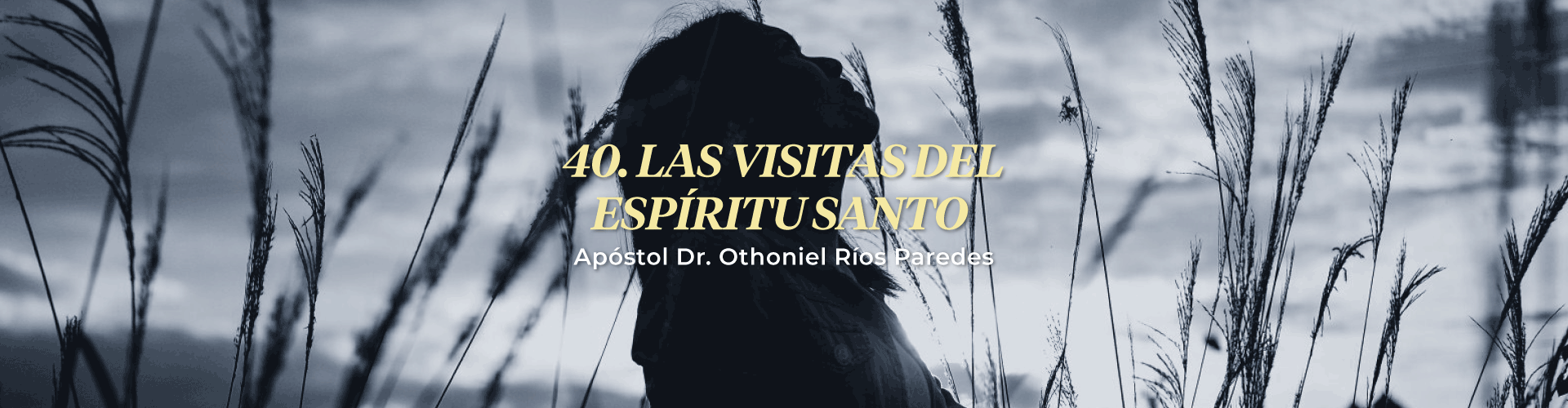 Las Visitas Del Espíritu Santo