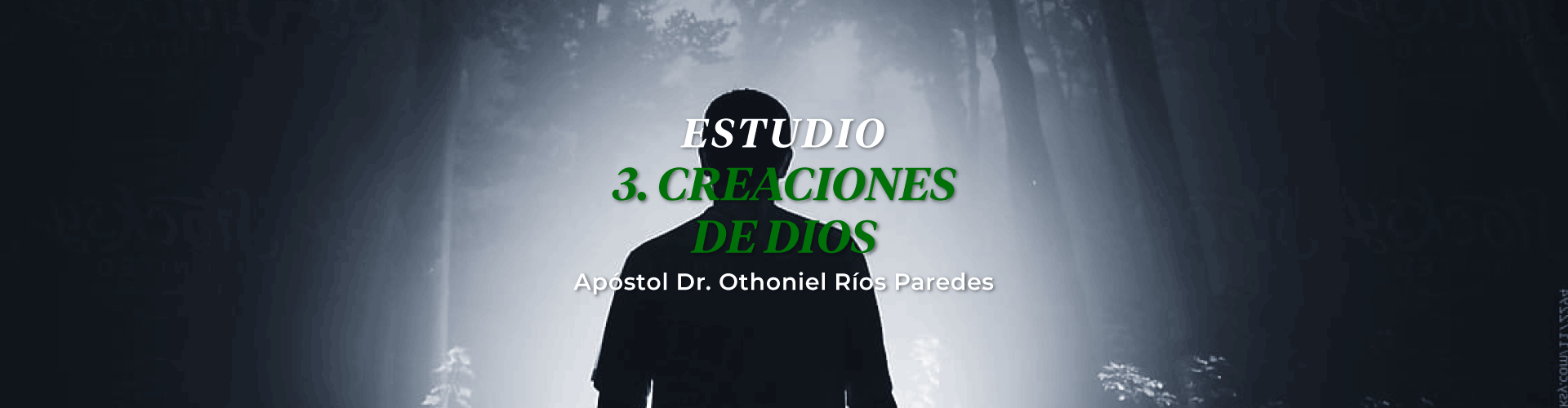 Creaciones De Dios