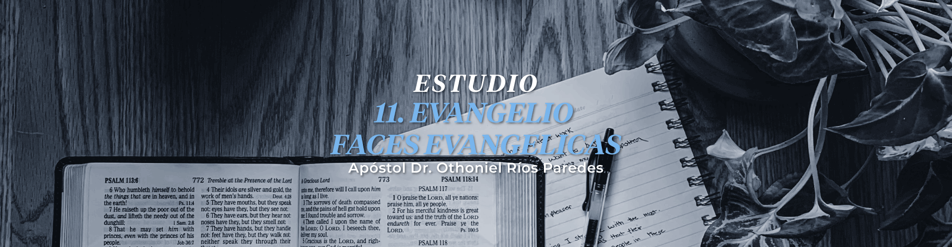 Evangelio, Fases Evangélicas