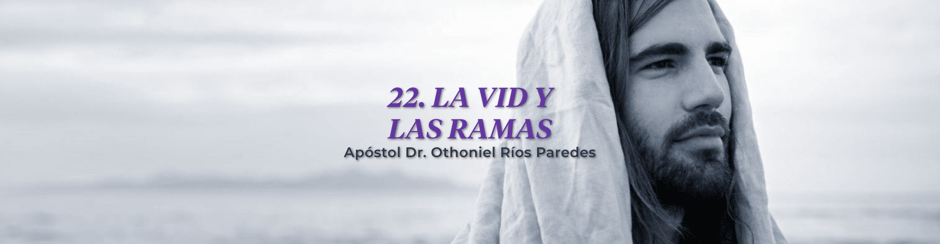 La Vid Y Las Ramas