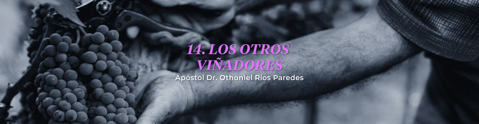 Los Otros Viñadores