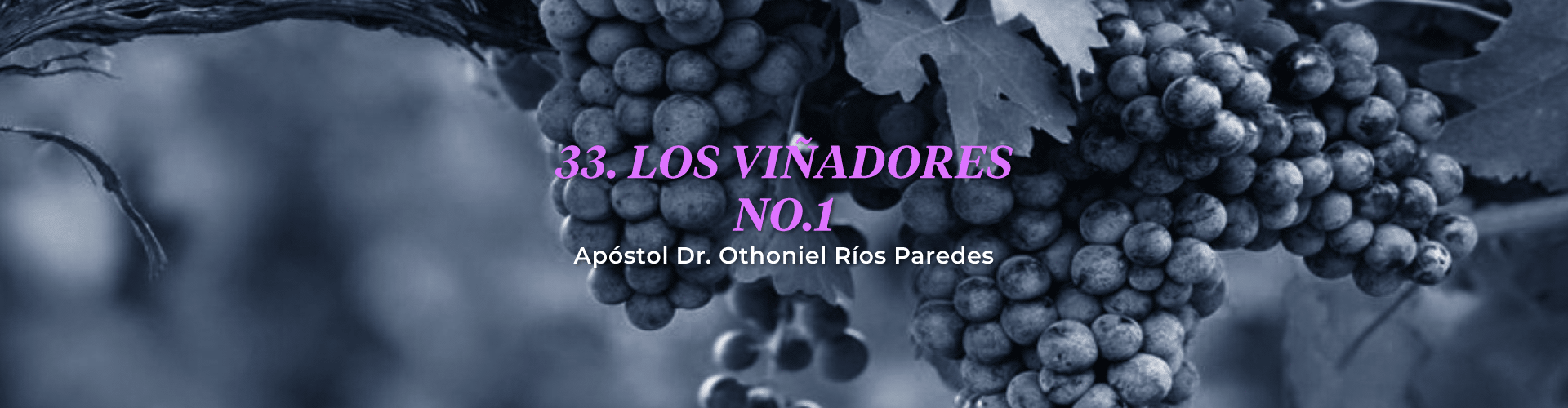 Los Viñadores, No.1