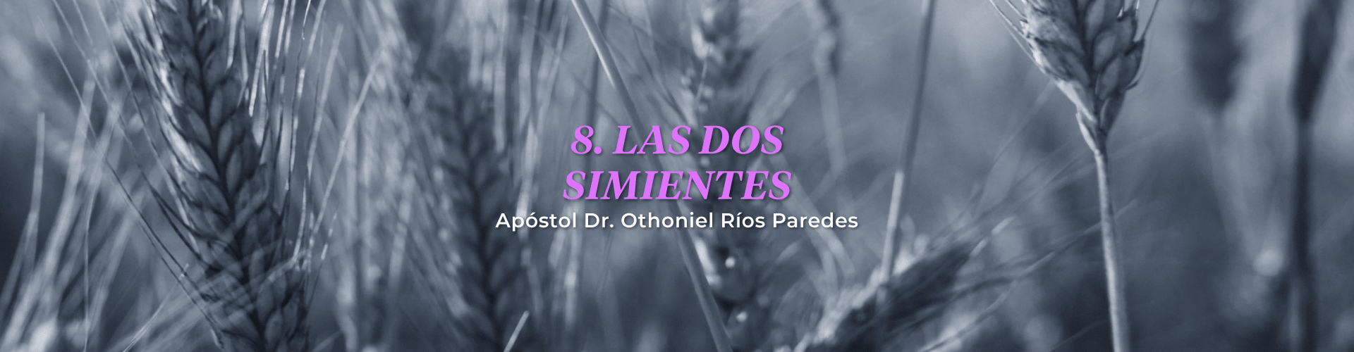 La Dos Simientes