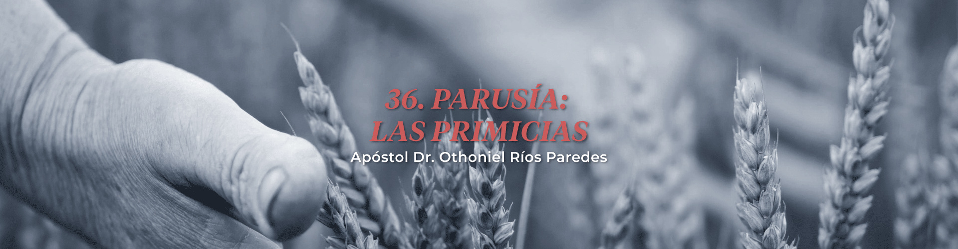 Parusia: Las Primicias