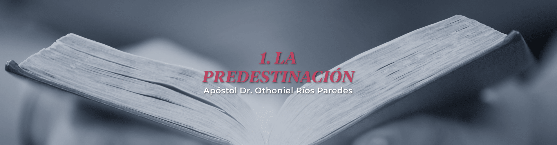 La Predestinación