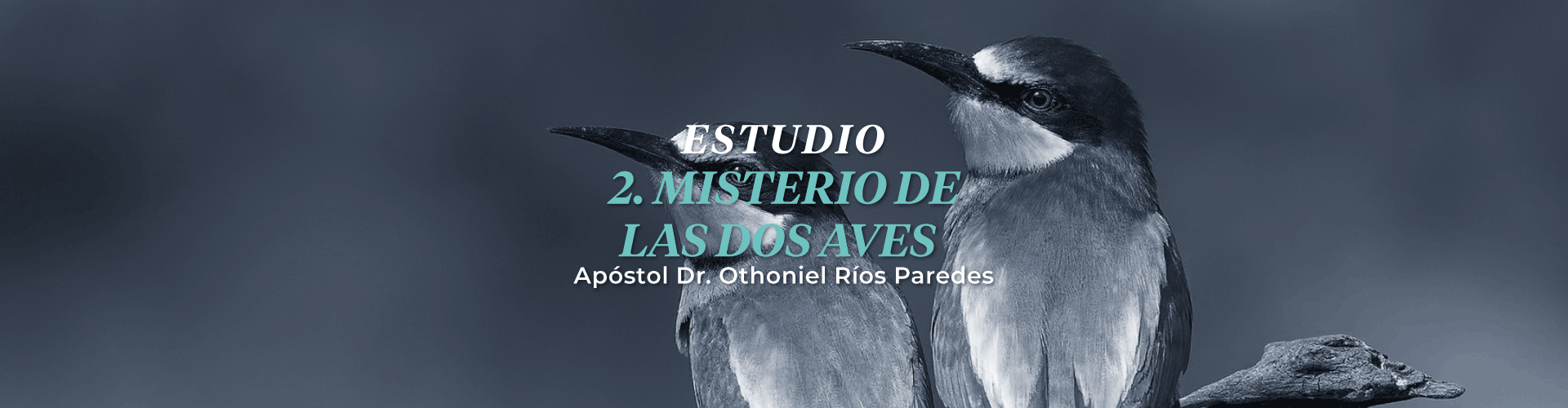 El Misterio de las Dos Aves